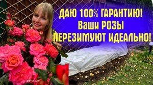 Розы НЕ ПОЧЕРНЕЮТ! Точка! Мой СПОСОБ УКРЫТИЯ, который НЕ ПОДВОДИТ ГОДАМИ! Смотрите и повторяйте!