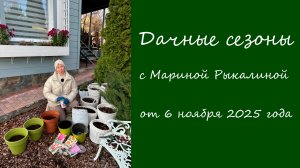 Дачные сезоны с Мариной Рыкалиной от 6 ноября 2025 года
