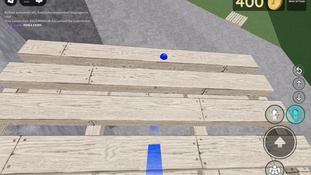 играю с другом в Roblox
