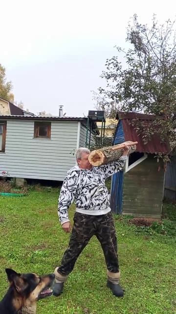 тренажёр из бревна