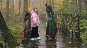 Путешествие в страну чудес