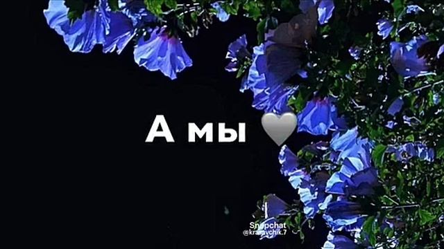 Snapchat-29107761.mp4