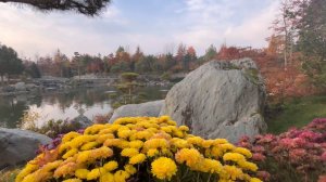 Ноябрь 2025 Японский сад в Краснодаре Обзор