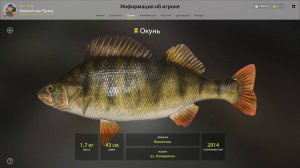 ТРОФЕЙ ОКУНЬ!!!ОЗЕРО КОМАРИНОЕ - РУССКАЯ РЫБАЛКА 4