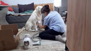 Жизнь в Деревне,  У Мартюшки сегодня день красоты