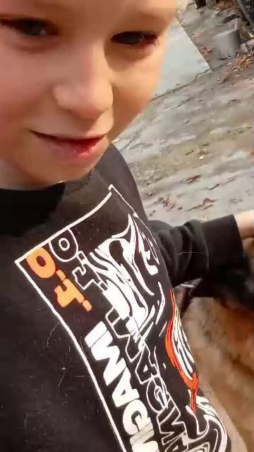 опасно злая собака