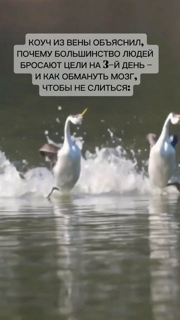 Почему большинство людей бросают цели. Читай👇