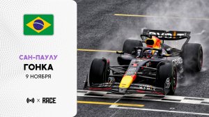 Гонка | Гран-при Сан-Паулу | Сезон 2025 | С комментариями Андрюса Люткявичюса | РейсКаст