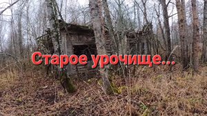 Сели с братом на каракат и уехали в старое урочище. Поиск монет.