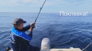 Новый способ ловли троллингом с заглубителем "Халуай". Сима, горбуша, кета, окунь ...