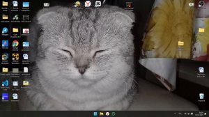 Ошибки Windows 10/11/TG