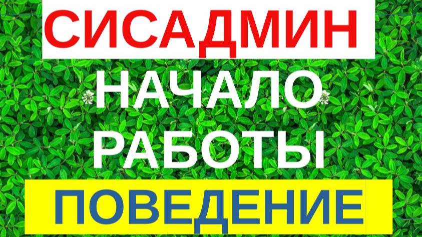 4.Начало работы сисадмина. Стратегия поведения