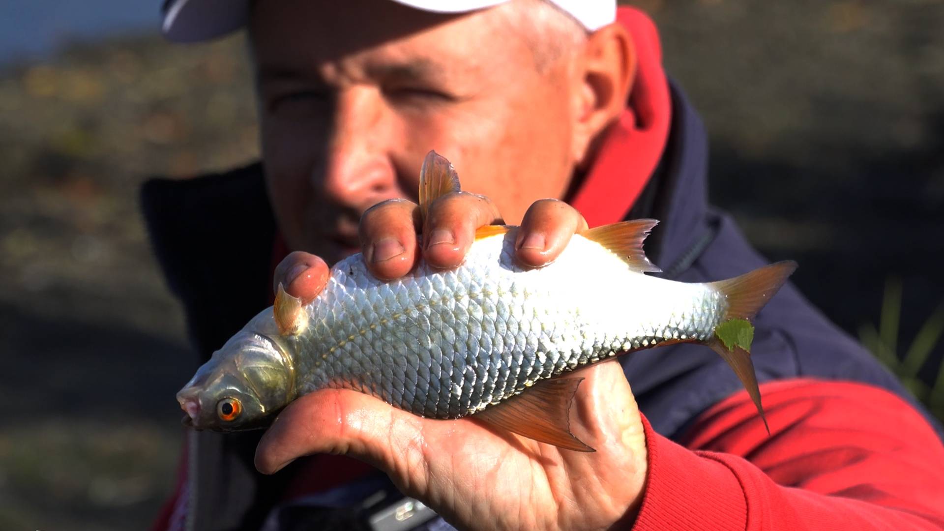 Ловим на фидер. Осенняя рыбалка. Плотва и не только смотреть онлайн