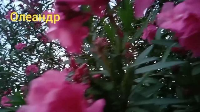 ПОЧЕМУ БЕЗ ОДНОГО НЕЛЬЗЯ смотреть онлайн