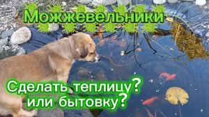 Работы во дворе. Можжевельники. Теплица или бытовка?