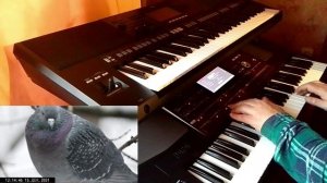 Мой голубь сизокрылый_Алла Пугачева_кавер на синтезаторе Korg pa 700