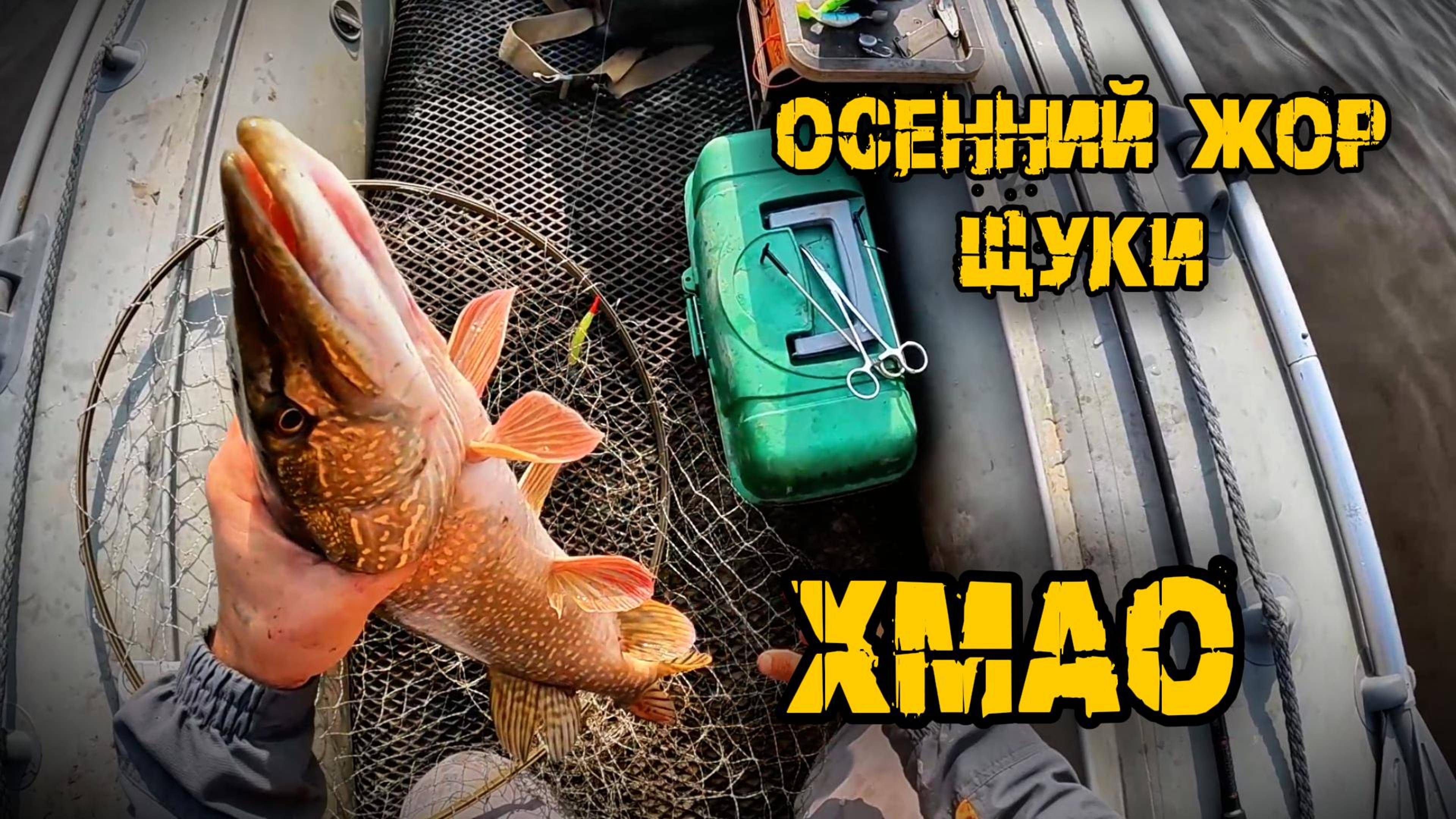 Осенняя рыбалка на обской протоке, клюет на все! с. Каменное