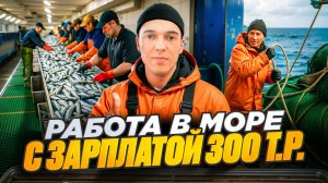 Работа в море матросом с зарплатой от 300 тысяч рублей в месяц и более!