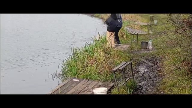 Светлые Горы Щука 06.11.2025г. смотреть онлайн