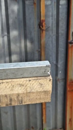 Жизненные советы