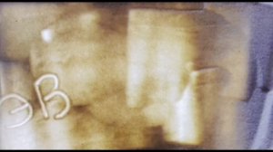 Сказки эвенков. Автор Протасова София