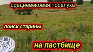 средневековая поселуха, коп на пастбище