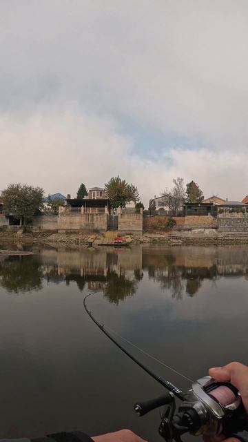 Щука клюнула 🎣 смотреть онлайн