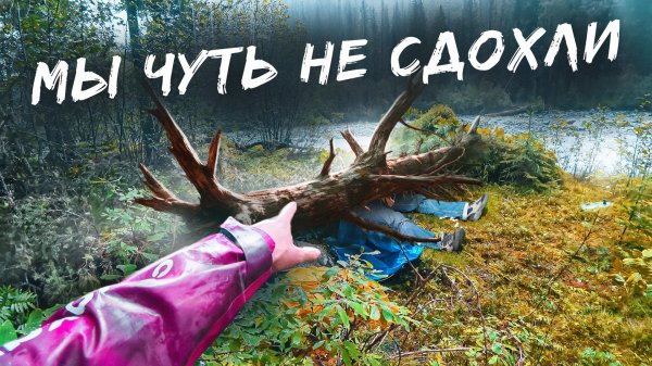 НЕ ХОДИ В ЛЕС ПОКА НЕ ПОСМОТРИШЬ ЭТО ВИДЕО. НА НАС УПАЛО ДЕРЕВО.