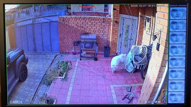 НЕДОРОГОЙ КОМПЛЕКТ 4К ВИДЕОНАБЛЮДЕНИЯ смотреть онлайн