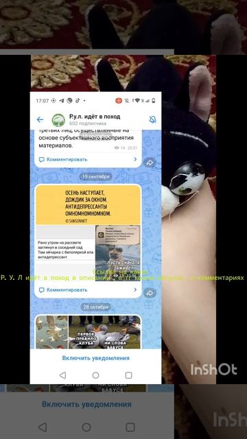 обзор на школьные учебники от котуньи смотреть онлайн