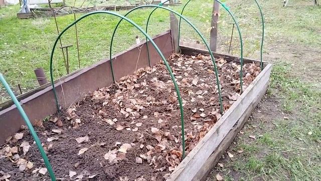 Подготовка грядки с осени. Для весеннего посева капусты на рассаду. смотреть онлайн