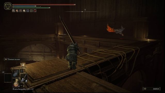 Elden Ring Shadow of the Erdtree - Задняя часть хранилища