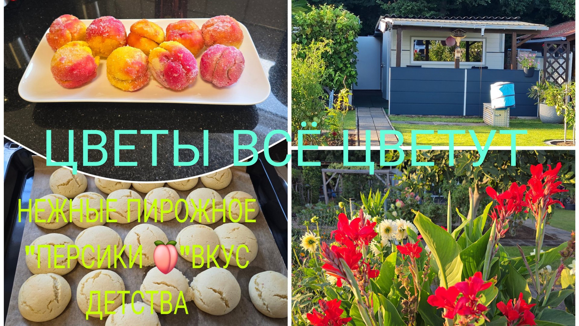 Наша Дача в Германии 🇩🇪Работа на Даче не кончается убираю Листву 🍁🍂🧹КРОТ НАКОНЕЦ-ТО УШОЛ / смотреть онлайн