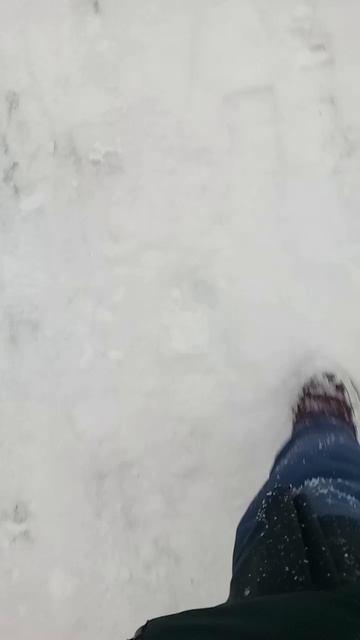 поход с классом 4 смотреть онлайн