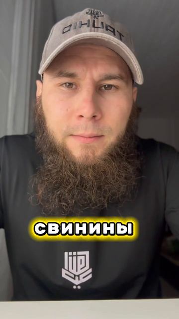 Оказывается не все сыры халяльные! смотреть онлайн