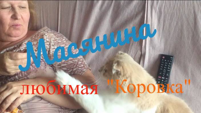 Масякина любимая "Коровка" смотреть онлайн