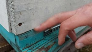 Ответы на вопросы подписчиков