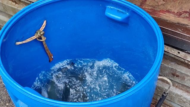 Новая партия Форели 06.11.2025г. смотреть онлайн