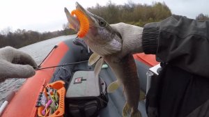 Ловим щуку и судака на малой реке.