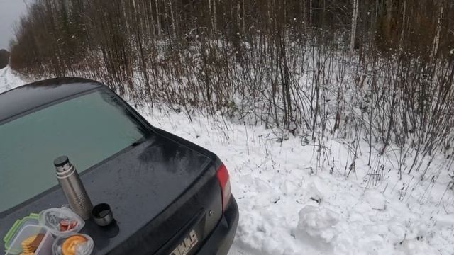 Охота с гончим на зайца смотреть онлайн