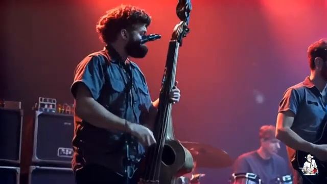 В тропическом лесу купил я дачу смотреть онлайн