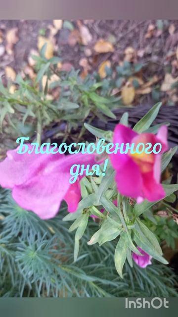 Доброе утро! Благословенного дня!💞