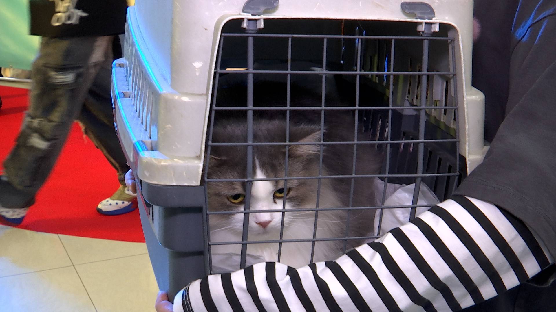 Шанс на новую жизнь смотреть онлайн