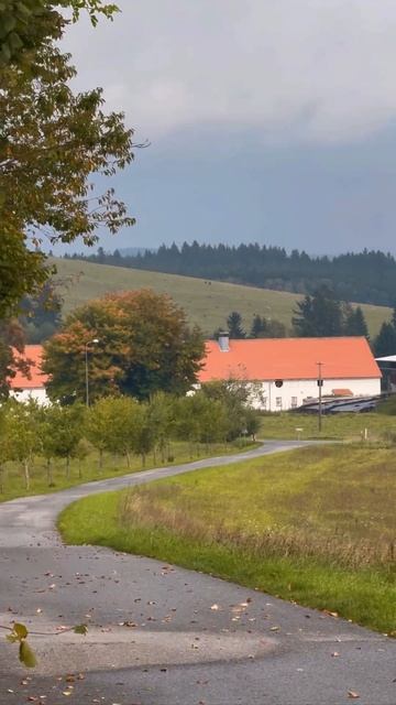 2025-11-06 смотреть онлайн