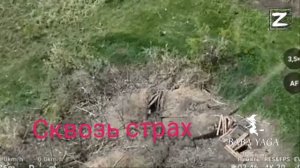 песня Сквозь страх от Baba Yaga