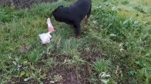 Переселились из летней кухни в дом. Как обустроились. Как это было 8 серия.