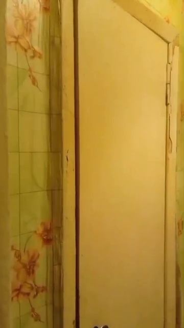 8143889 смотреть онлайн