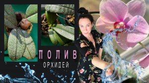 Вы будете УДИВЛЯТЬСЯ‼️Сверху сухо-не беда. Полив подростков в НЕРАЗОБРАННОМ мхе и не только!