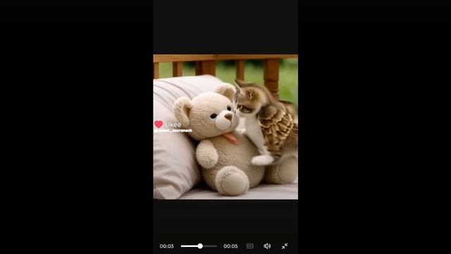 ОАООАОАОАОАОАОАОА MEOLWWWW смотреть онлайн