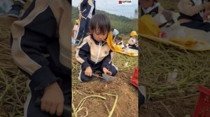 Китайцы растят супер поколение детей! #китай #китайцы #дети #развитие #раннееразвитие #спорт